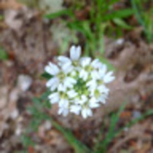 Meet your Posher, Jocelin